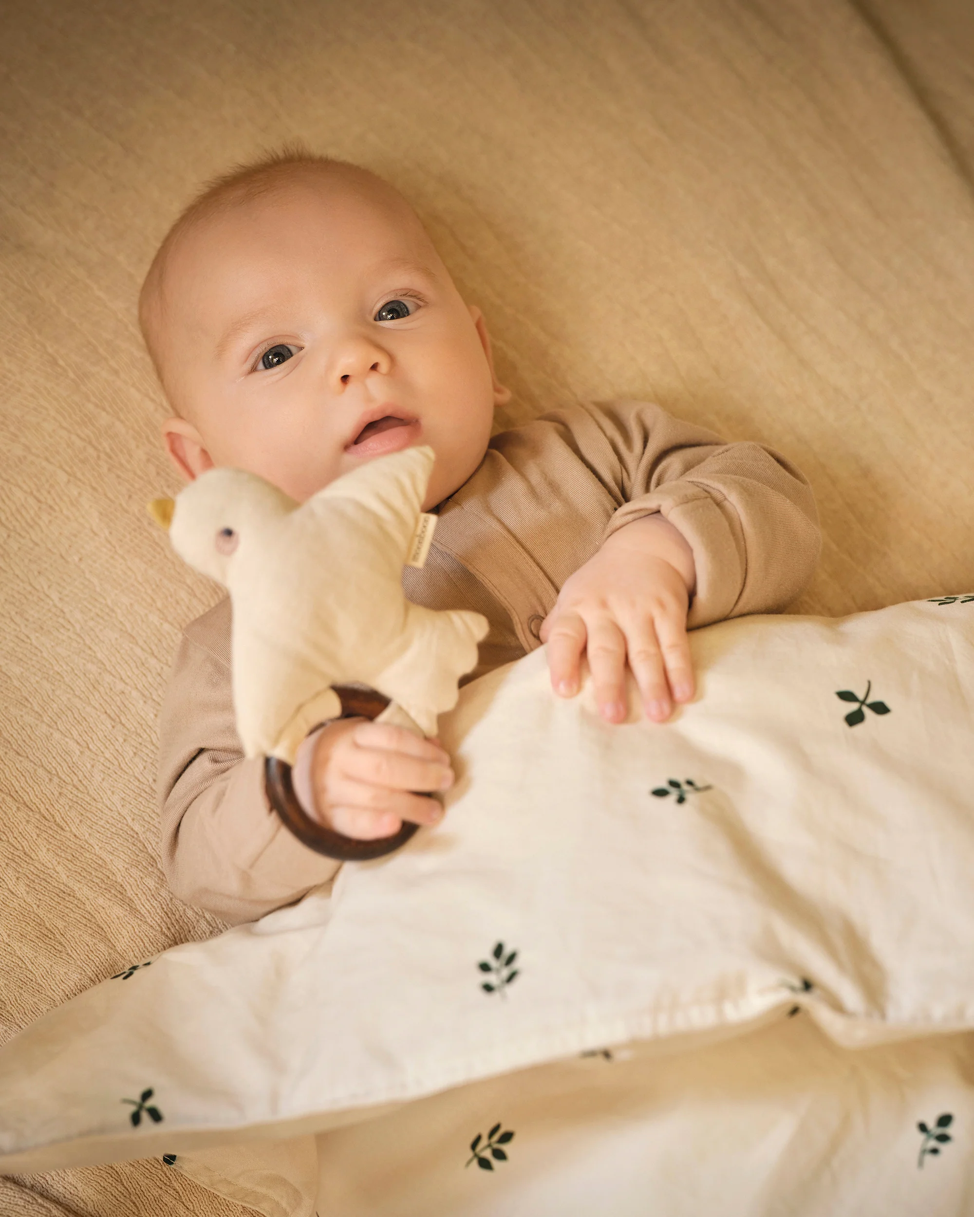 Rattle - Image 3