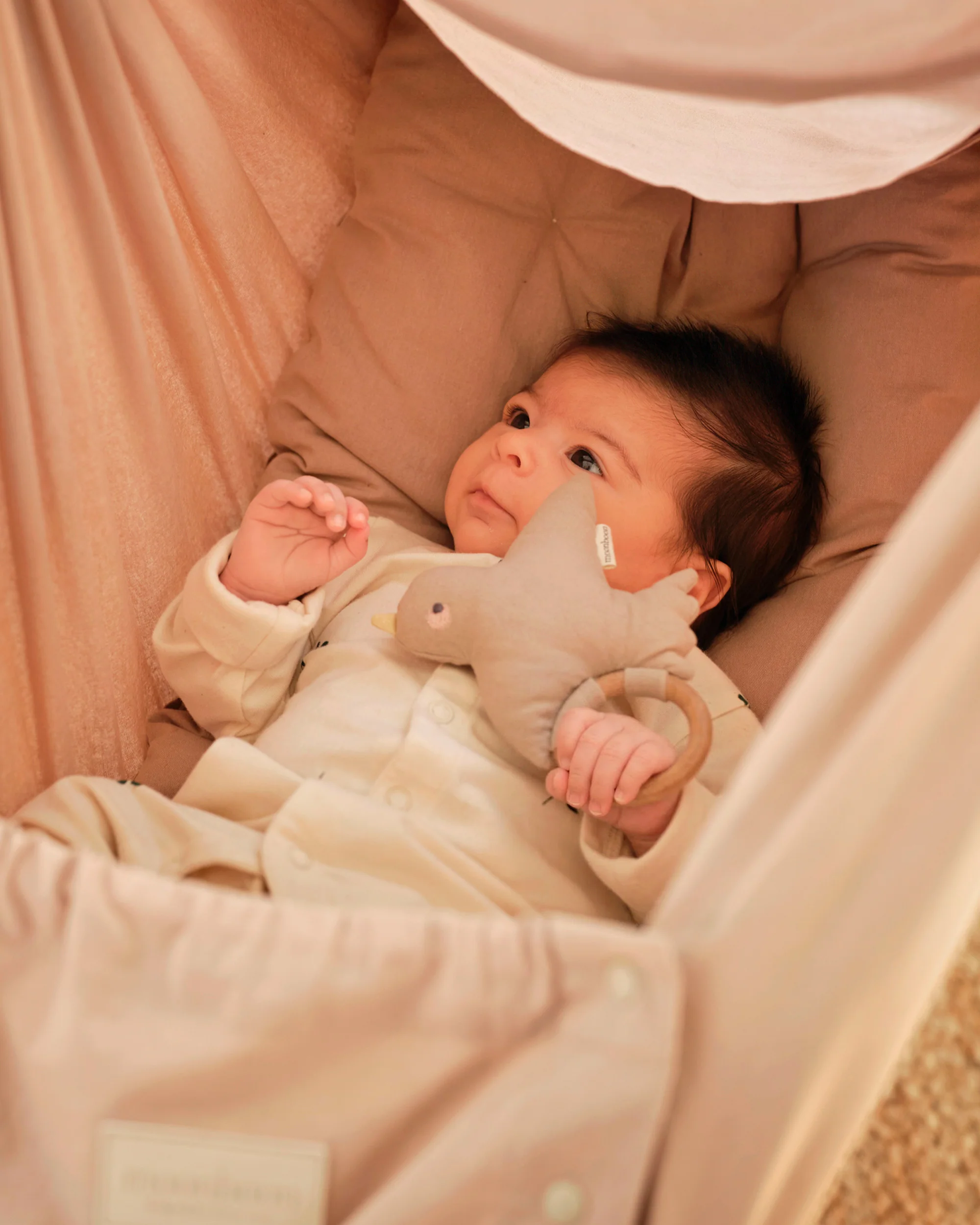 Rattle - Image 4